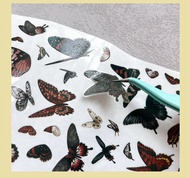 OKMT新七天貼紙手帳膠帶 暗黑蝴蝶-PET模切-10cm*3m-35cm循環