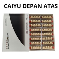 Dental Caiyu Cayu Depan Atas Anterior Atas 1 box Gigi Palsu Anasir