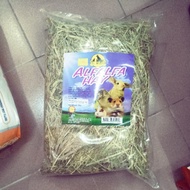 Alfalfa hay/rumput untuk arnab hamster guinea pigs