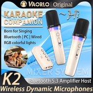 Original DS-K2 Karaoke Companion Bluetooth 5.3 Wireless Moving-Coil Microphones RGB Colorful Light K