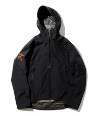 Arcteryx Beams zeta SL jacket
