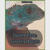 Iguana Care: Juvenile Basics