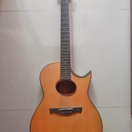 Gitar Akustik Elektrik Samick jtr Annabelle