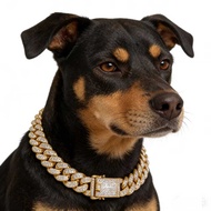 Pet Collar Full Diamond Jewelry 20mm Cuban Chain Suitable for Doberman Rowinner Dog Large Pet Chain