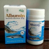ALBUMIN FIT INAYAH (EKSTRAK IKAN GABUS / KUTUK) - kapsul ikan gabus - pro albumin - kapsul kutuk