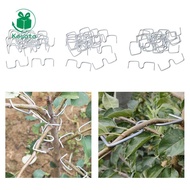 [Kesoto] 20 Pieces Tree Branch Puller Fruit Tree Planting Tool Branch Bending Tool Orchard Tool Bran
