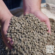 5 KG OF GUATEMALA GRADE 1 GREEN RAW COFFEE BEAN .