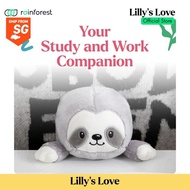 Lilly’s Love Posture Pal | Plush Posture Support | Cute Sloth Cushion for Men, Women & Kids | Gift