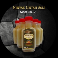 Minyak Lintah Original Minyak Asli Adamstore