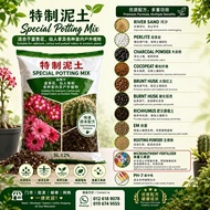 TANAH ADENIUM BUNGA KEMBOJA DAN CATUS SPECIAL POTTING MIX ORGANIC SOIL特制泥 adenium&catus soil 富贵花和仙人掌