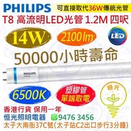 PHILIPS 飛利浦（單端）T8 高流明 6500K 白光 14W LED 光管 2100流明 1.2M 四呎 50000小時壽命 香港行貨 保用一年