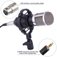 Universal BM-800 Mic Professional Condenser Microphone for computer Audio Studio Vocal Recording Mic