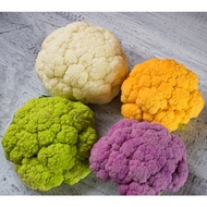 200pcs Broccoli Seeds Cauliflower Vegetable Plants for Sale Microgreens Seeds Plants Vegetable Seed 