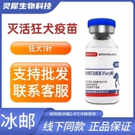 Use Domestic Jinyu Wild Dogs Vaccines Dogs Dogs Cats Kangmao Pets Wild Dogs Rabies Vaccines Wild Dog