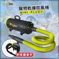現貨熱銷 bigboi MINI PLUS+ 寵物乾燥吹風機(附吸塵套件) 吸+吹一次搞定 吹水機 乾燥吹風機 