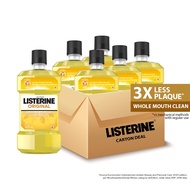 Listerine Original Mouthwash - Case