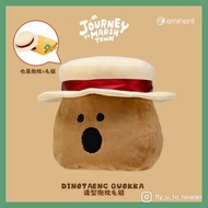台灣代購🍄DINOTAENG QUOKKA Eminent 抱枕毛毯 公仔 薄被