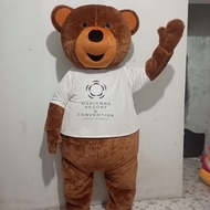 kostum badut beruang dewasa