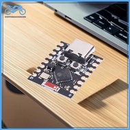 EVER ESP32-C3 Development Board ESP32-C3 ESP32-S3 ESP32-H2 ESP32-C6 Board ESP32 C3 SuperMini WiFi  E
