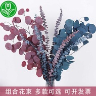 Immortal Eucalyptus Leaves Apple Eucalyptus Round Leaves Eucalyptus Leaves Air-Dried Flower Leaves H