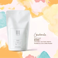 Curio [Guatemala] Medium Dark Roast by Curio Coffee Roaster