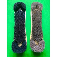 Snooker Table Brush 10.5 Inches
