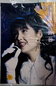 周慧敏
