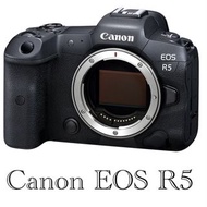 ［租借相機］Canon R5 RF 100-500mm 租相機 租鏡頭