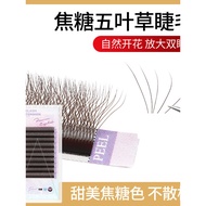 Dark Caramel Five-Leaf Clover Grafted Eyelashes Dark Brown 5-Leaf Clover Flowering False Eyelashes S