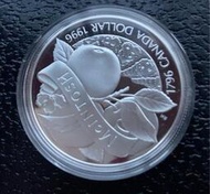 加拿大一元1996年145