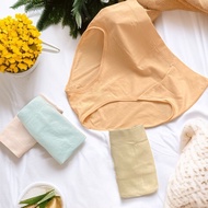 2PCS PACKAGE - SORELLA Jumbo Women's Panties 051066 - Cutting Maxi+, Size L XL 2XL | Seamless & Supe