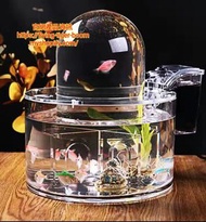 魚缸 fish tank aquarium #pdc 992009