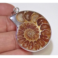 Real Ammonite Fossil Shell Pendant Natural Polished Stone 04
