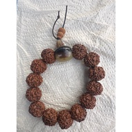 Rudraksha Bracelet with 5 Face ( 13pcs / 9cm