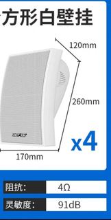 SAST 先科 方形白壁掛喇叭 4Ω 91dB