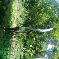 pedang bujur madura 80