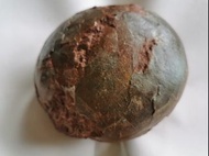 真古代恐龍蛋化石