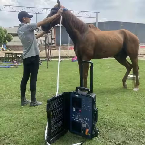 2025 PEMF LOOP For Horse Treatment Pemf Therapies Rehabilitating And Injured Horse Massage Equine PE