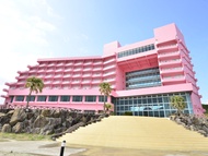種子島岩崎飯店 (Tanegashima Iwasaki Hotel)