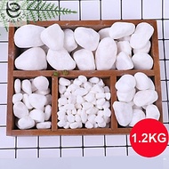 Sỏi trắng, đá trắng 1.2KG cao cấp, trang trí chậu cây, hồ cá, bể cá, tiểu cảnh, hòn non bộ thủy sinh