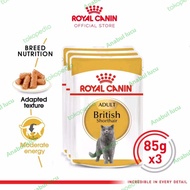 Royal Canin British Shorthair Adult (85g packs) Wet Makanan Kucing