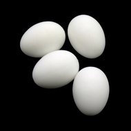 [TYPE 1] Set of 10 Plastic Fake Pigeon Eggs, Pink Eggs Simulating Real Pigeon Eggs