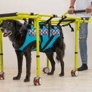 寵物助行器 高齡犬 老犬 行動不便 寵物輔具 協助行走 台灣製造