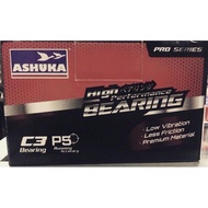 Ashuka Bearing Set SKF Y110 KRiSS110 C3