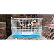 Bird Cage + With Accessories