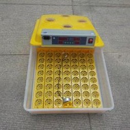 【現貨可開發票】迷你孵化機12枚36枚48枚56枚全自動小型孵化器孵蛋器專用蛋盤
