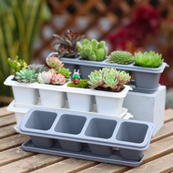 Haworthia succulent cactus plastic set pot