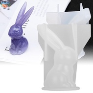 CAUSI  Rabbits Resin Mould, Silicone  Long Ears Rabbits Mould, Resin Casting Mould Bunny Cute Transp