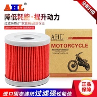 AHL Compatible with Suzuki DRZ400 DRZ400E DRZ400S DRZ400SM Oil Filter Element Oil Filter Oil Grid RN
