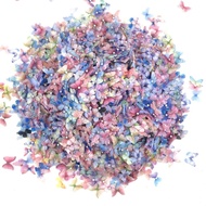 2-5Double-layer mixed hair butterfly 3D face stickers, handmade tulle decorative hair clips, nail ar